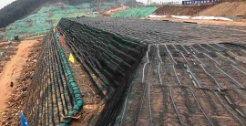 新利luck18(中国)体育·官方网站